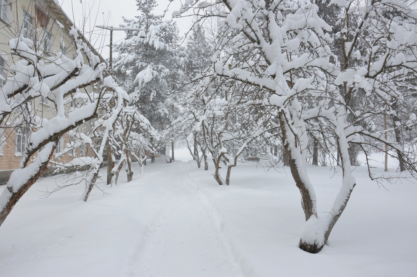Санаторий Марциальные Воды