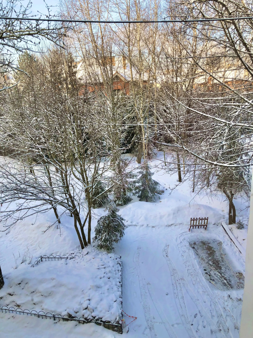 Квартира  Господин VN