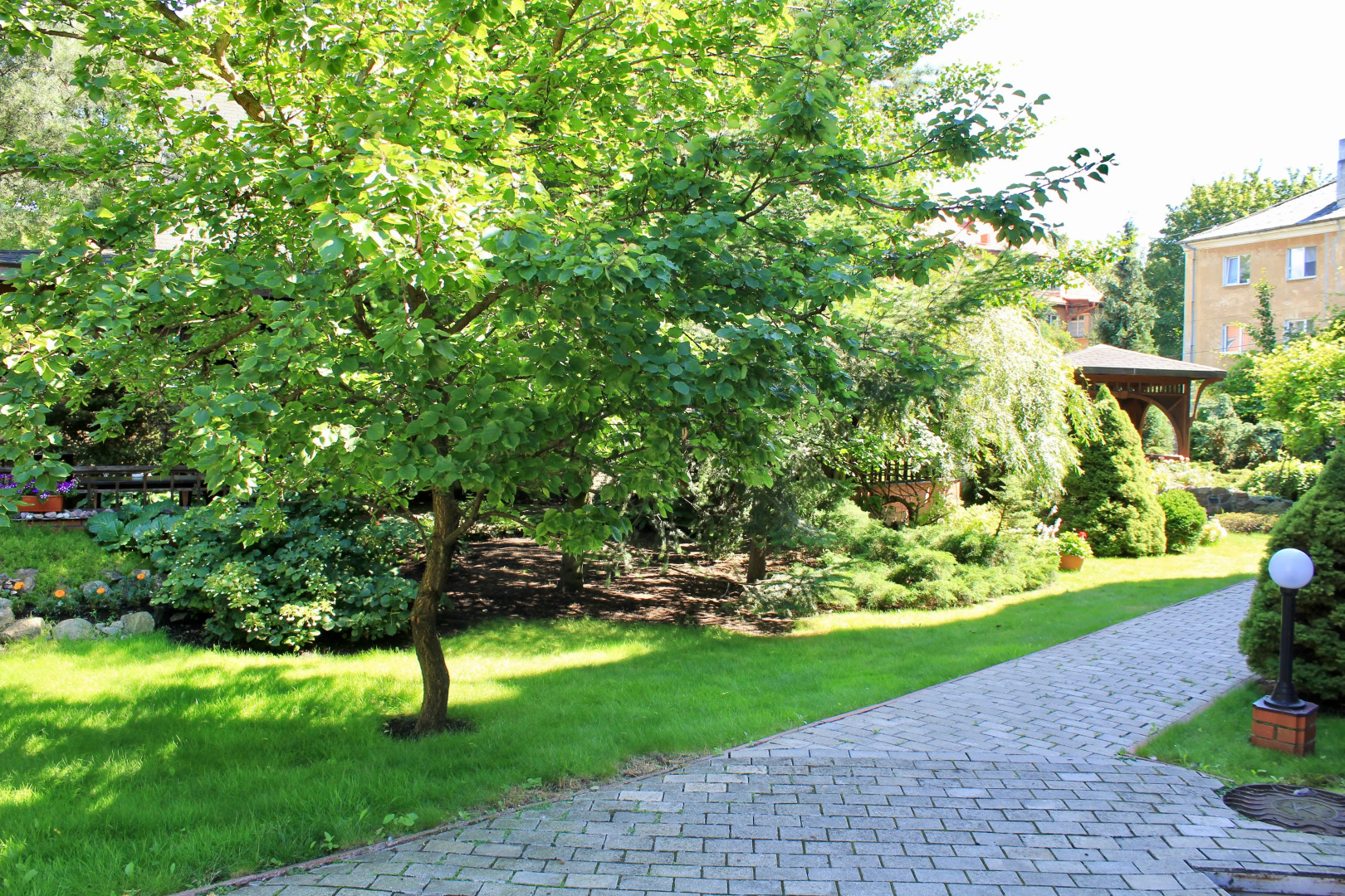 Меблированные комнаты Черепаха