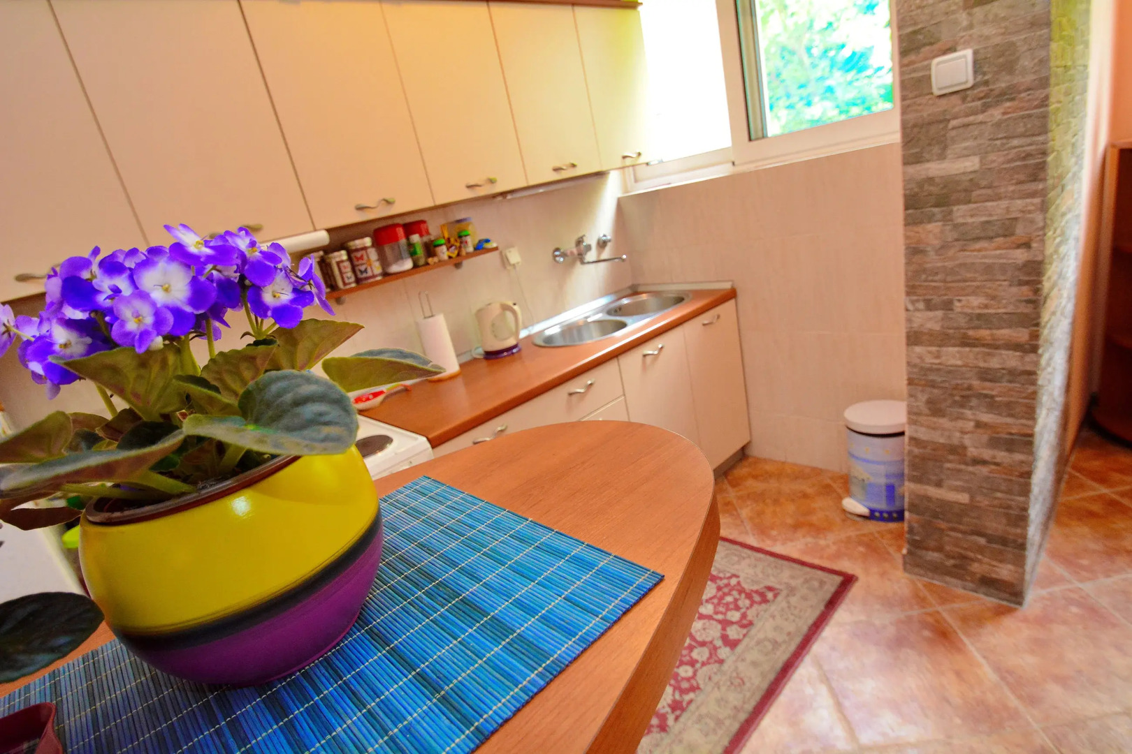 Апартаменты Rapovac Kotor