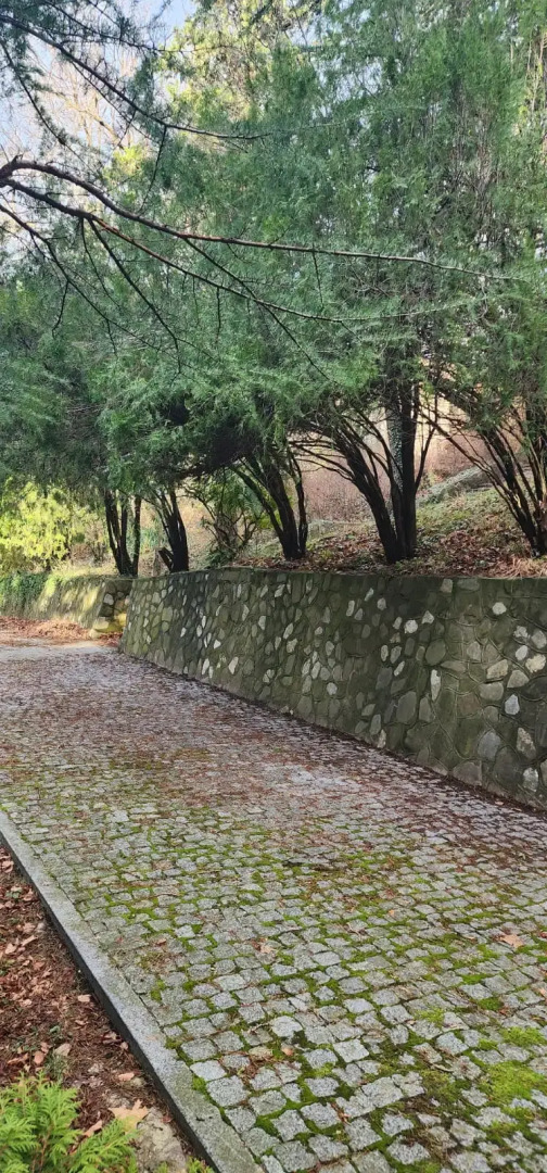 Отель Жемчужина Кавказа