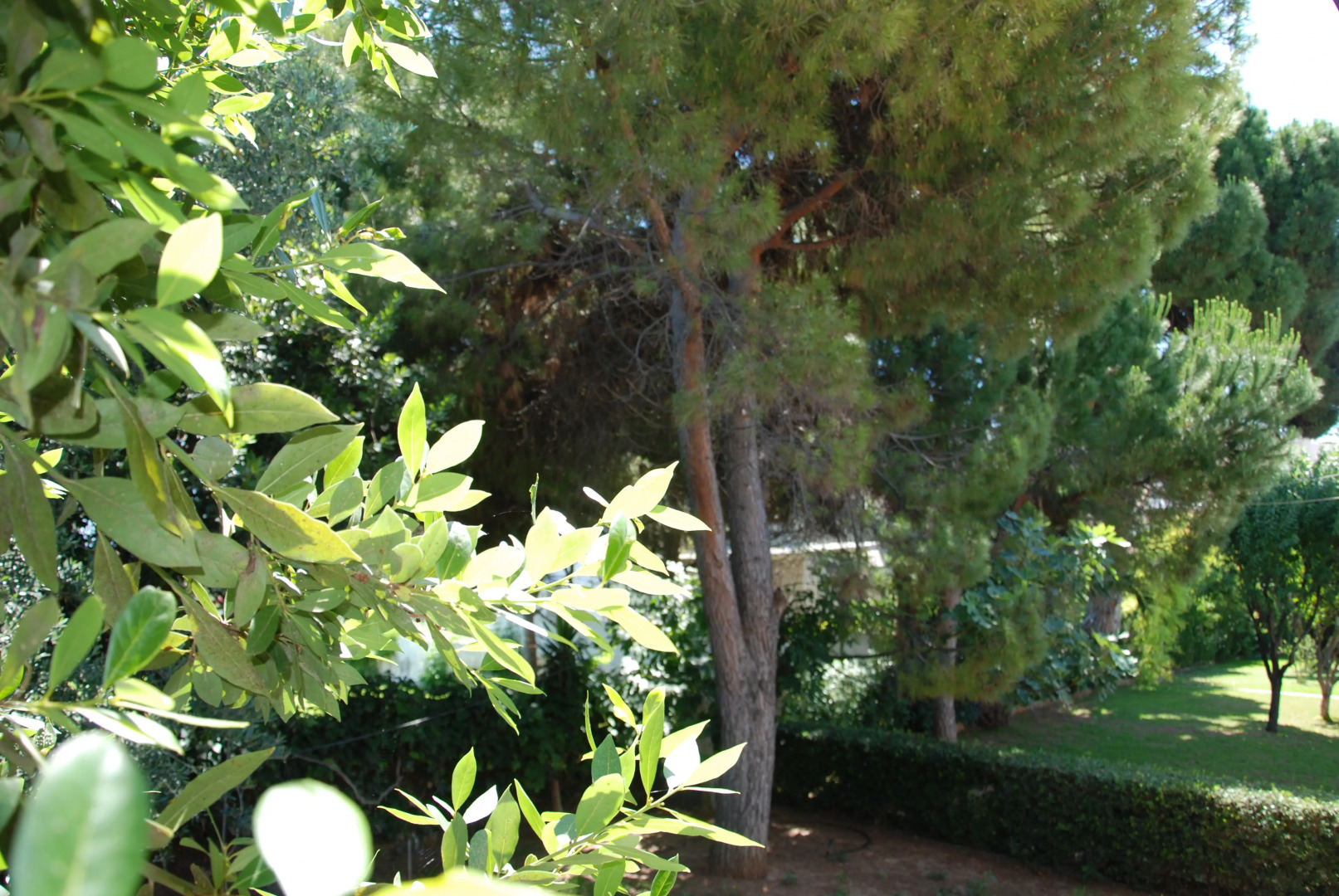 Вилла Alexander