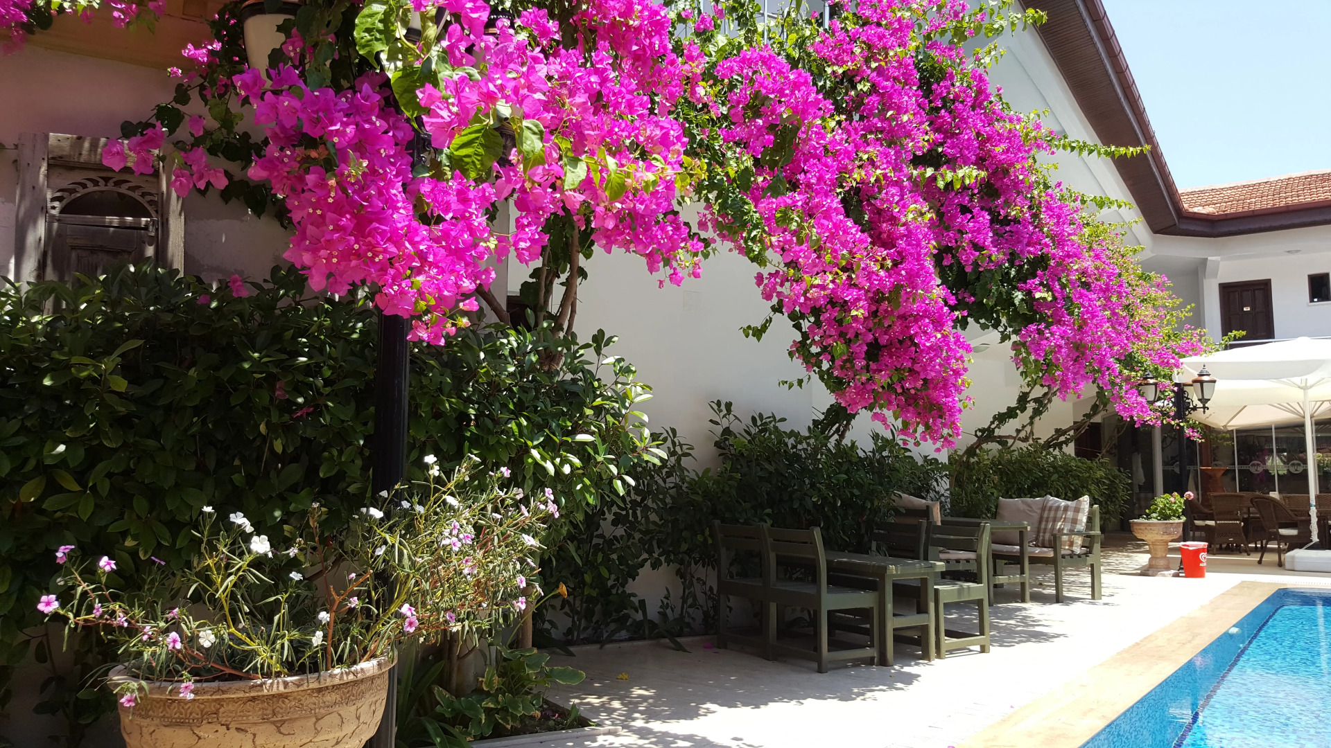 Отель Palme Royal