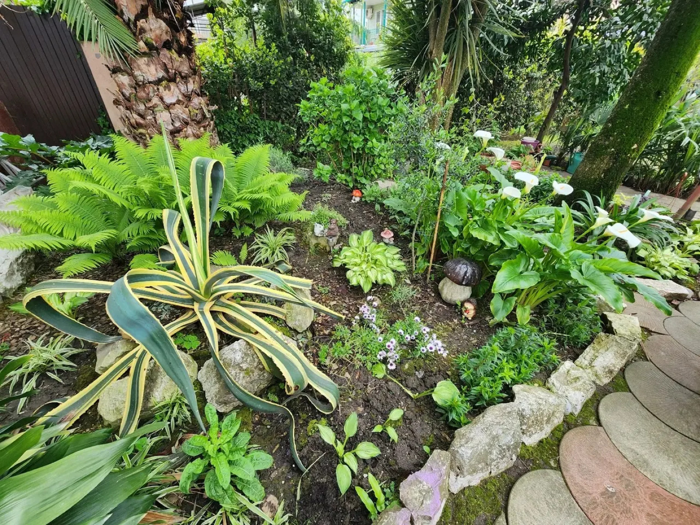 Гостевой дом Тропики