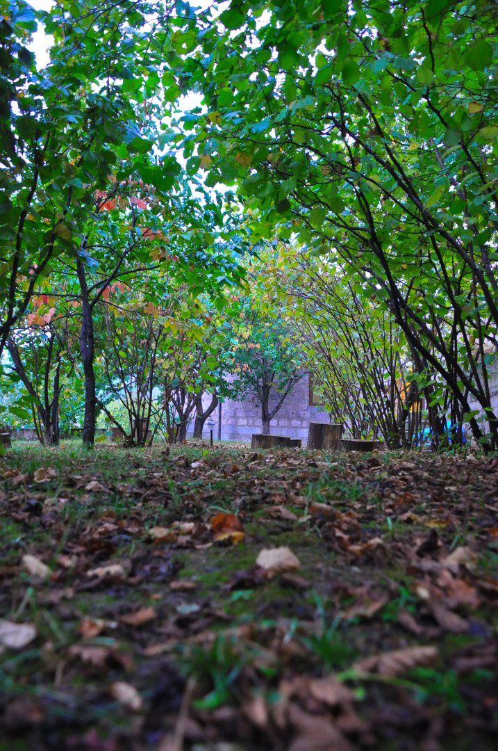 Гостевой дом Kamar