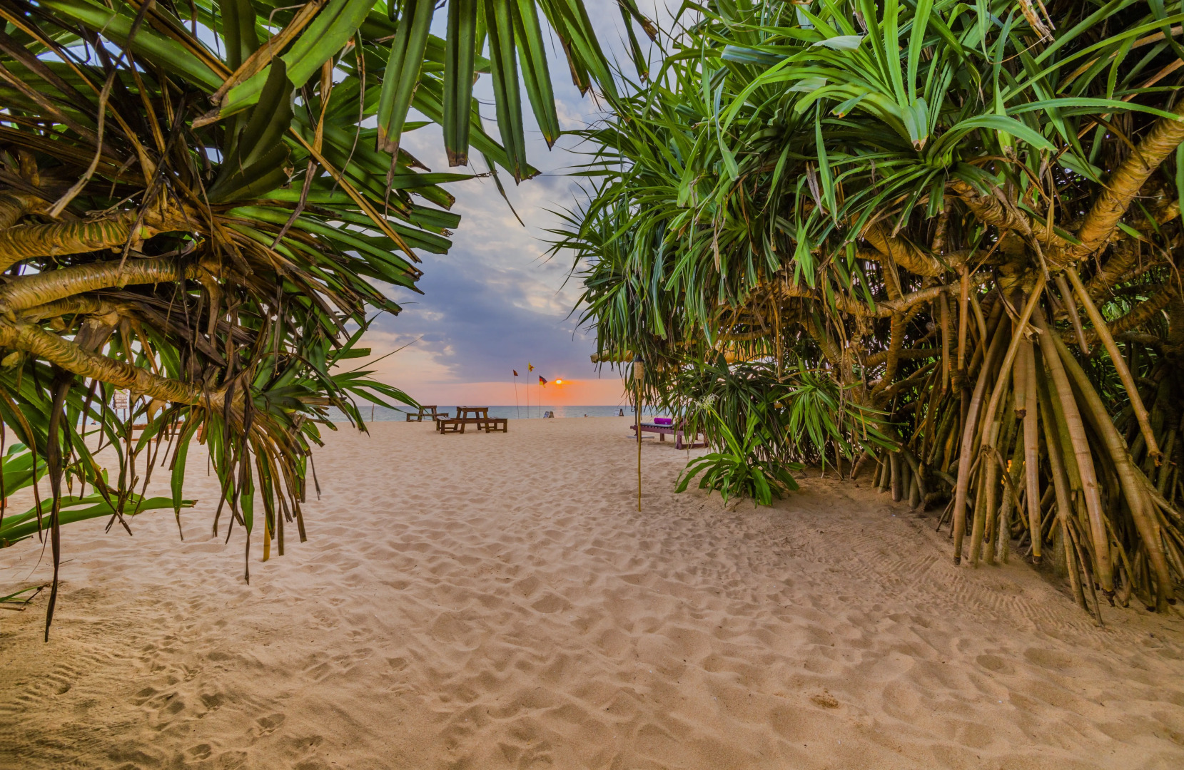 Отель Jungle Beach Camp Ahungalla