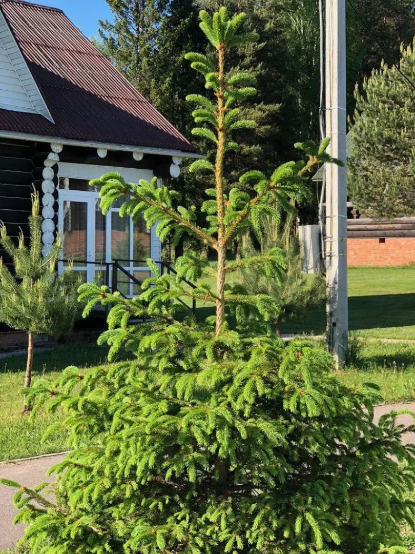 Отель Загородный Лежневская Лагуна