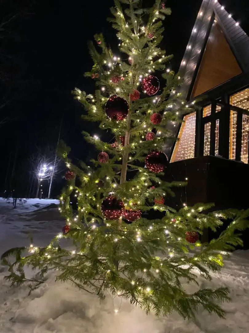 Гостевой дом Экодом Лиса Алиса