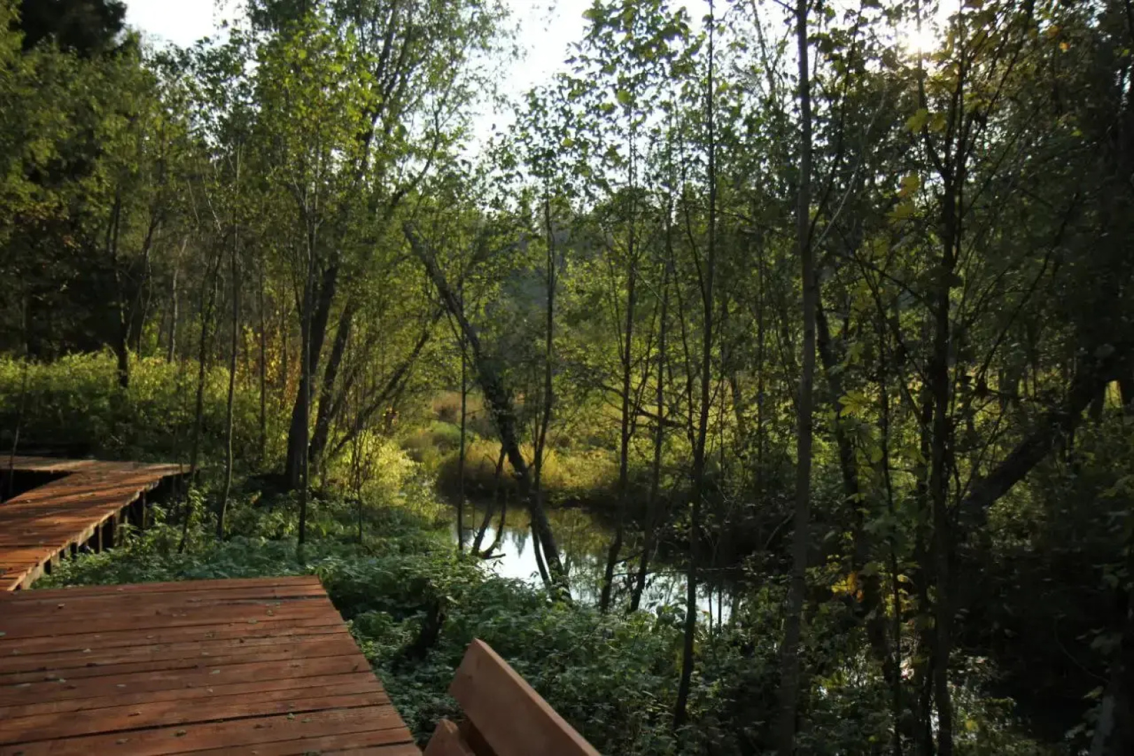 Шале Красный домик в лесу на Живописной улице