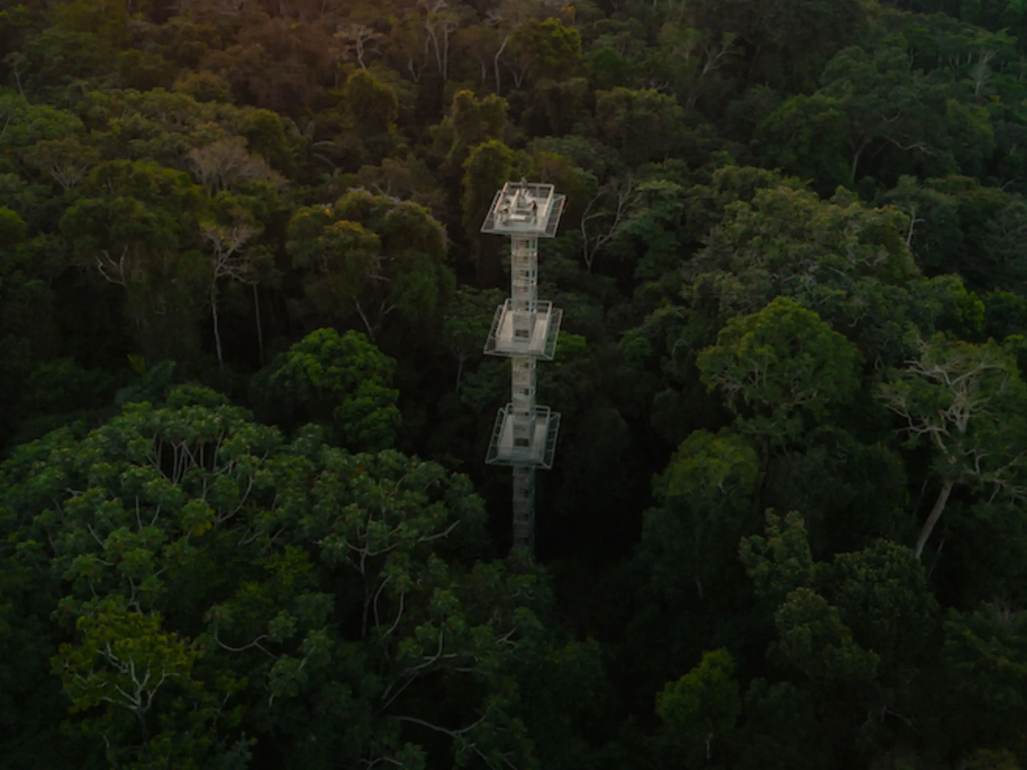 Отель Refugio Amazonas