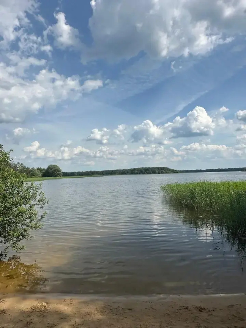 Гостевой дом в  Логиново