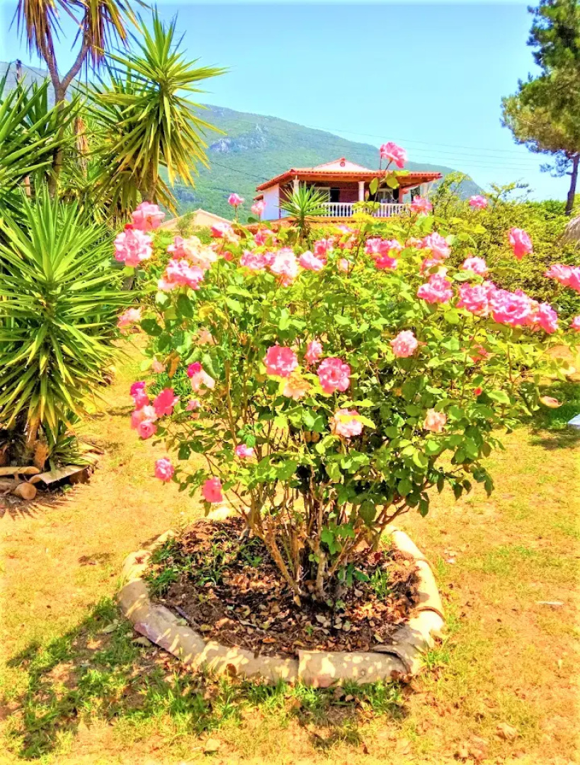 Вилла Tatiana Corfu