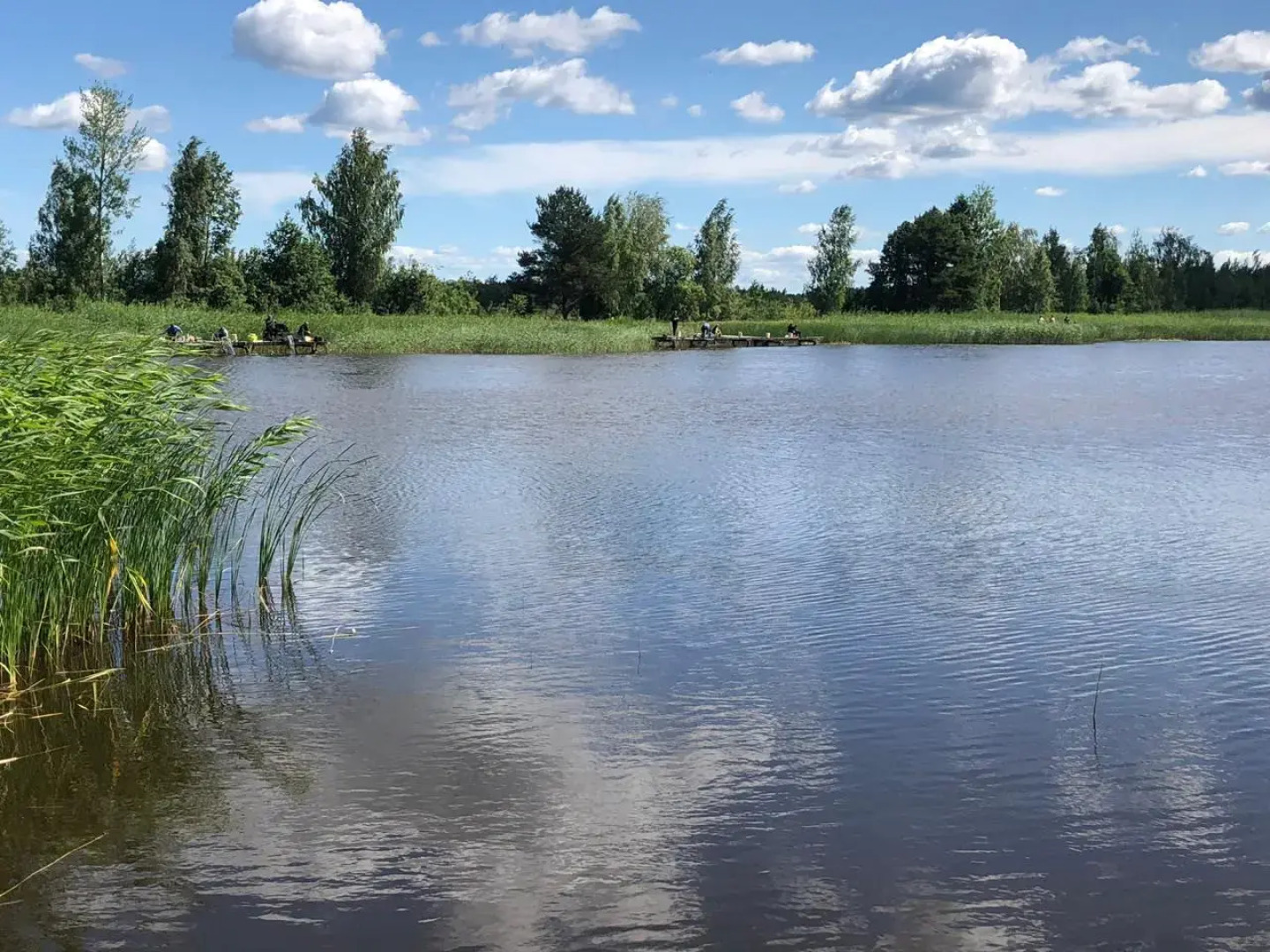 База отдыха Чистые пруды