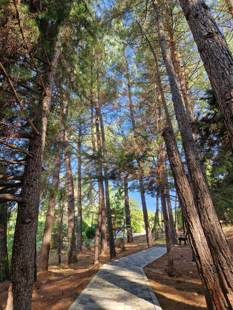 Санаторий Зеленая Долина