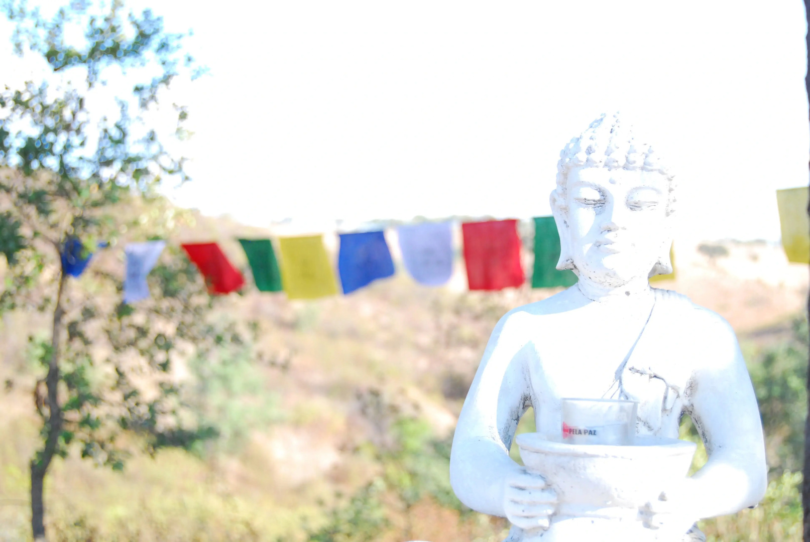 Гостевой Дом Buddha Peaceful Oasis