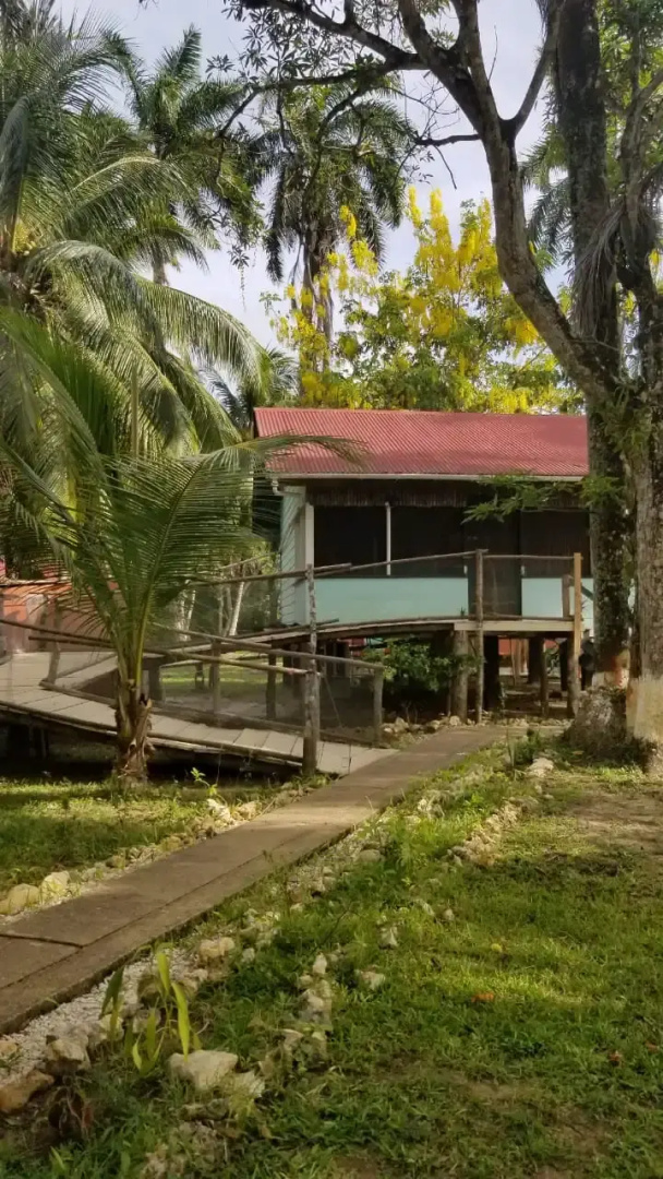 Отель River Bend Resort Belize