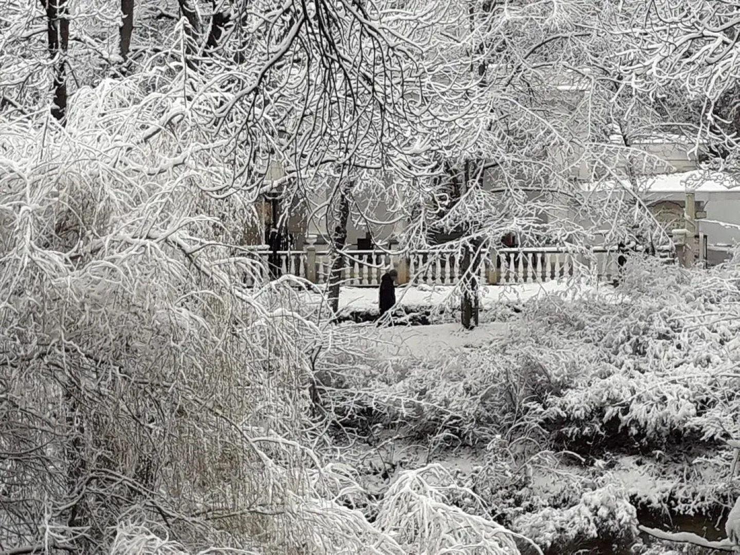 Квартира 2-комнатная в Курортной Зоне Кисловодска