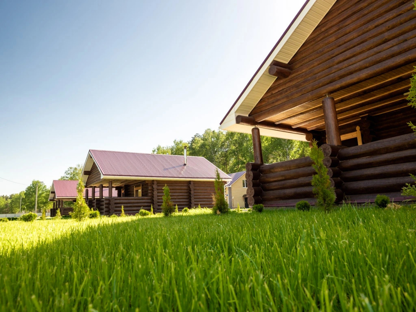 Отель Риони