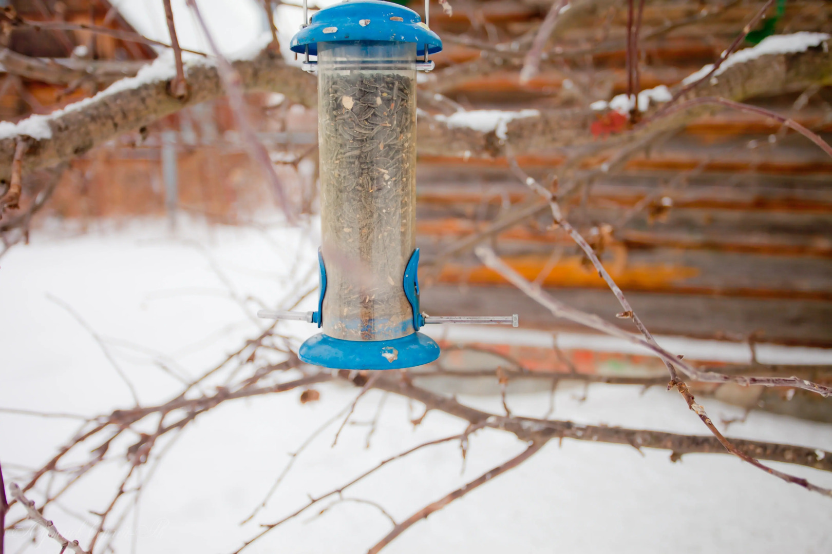 Гостевой Дом Ваш Суздаль