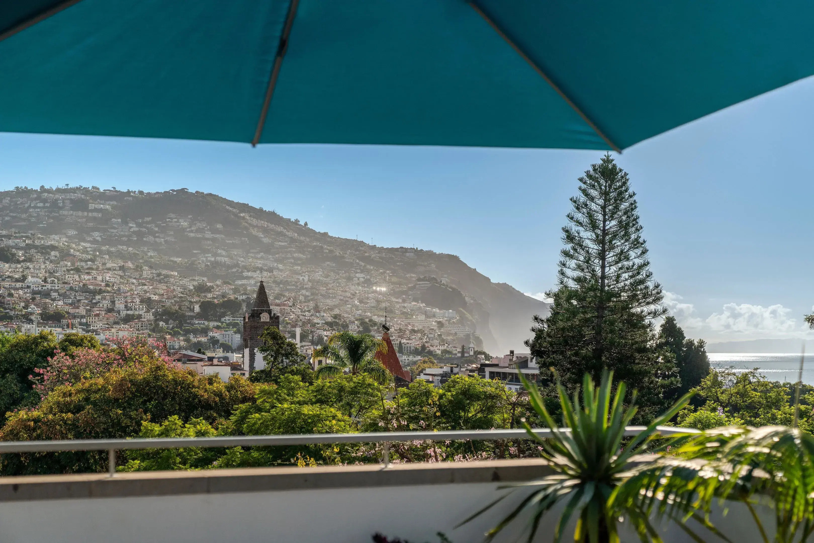 Отель Madeira
