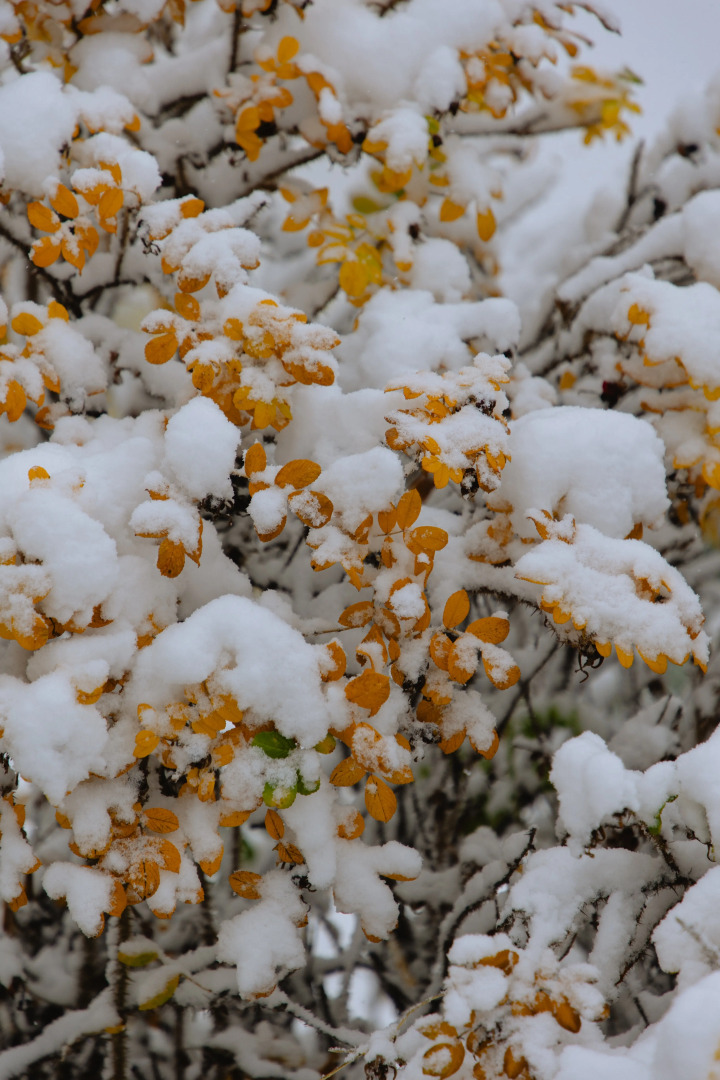 Отель 40-й Меридиан Яхт-клуб