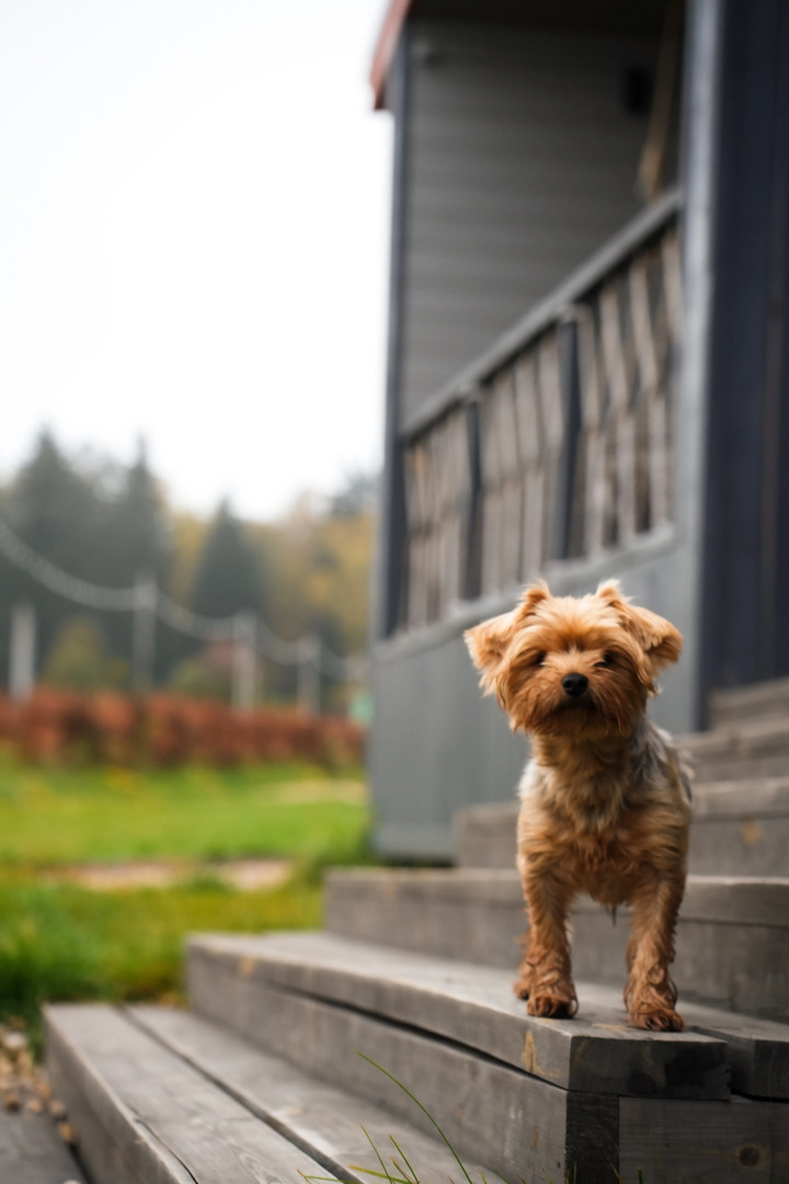 Глэмпинг Ruza River Club