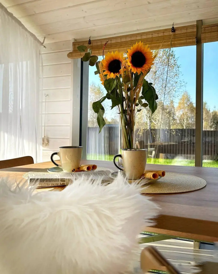 Частный дом Domudachi