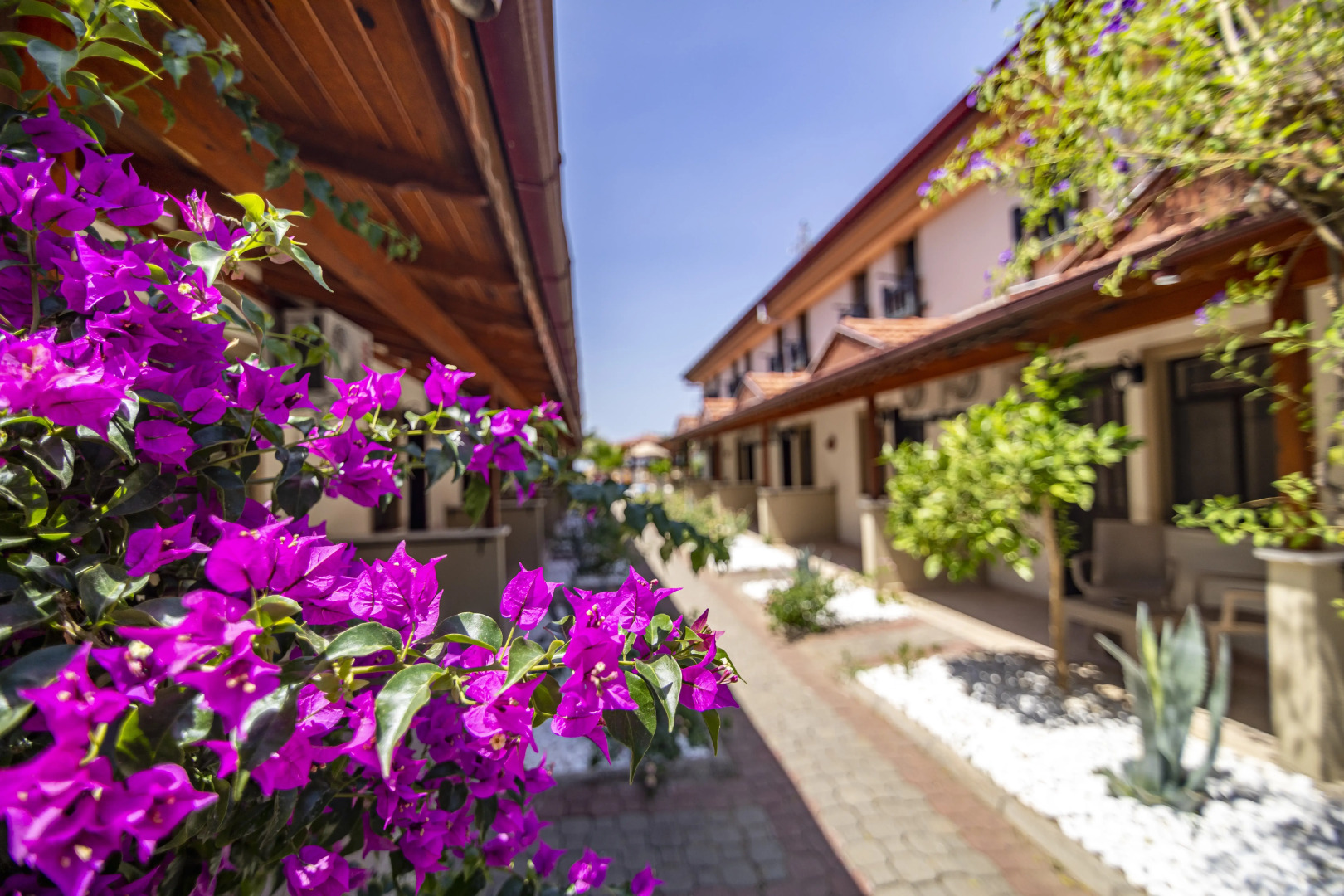 Бутик-отель Portakal Dalyan