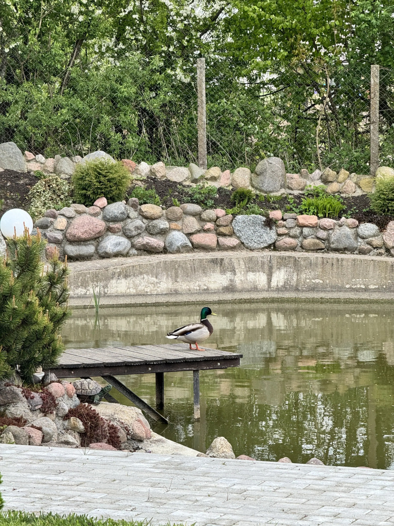 Бунгало Домик у озера