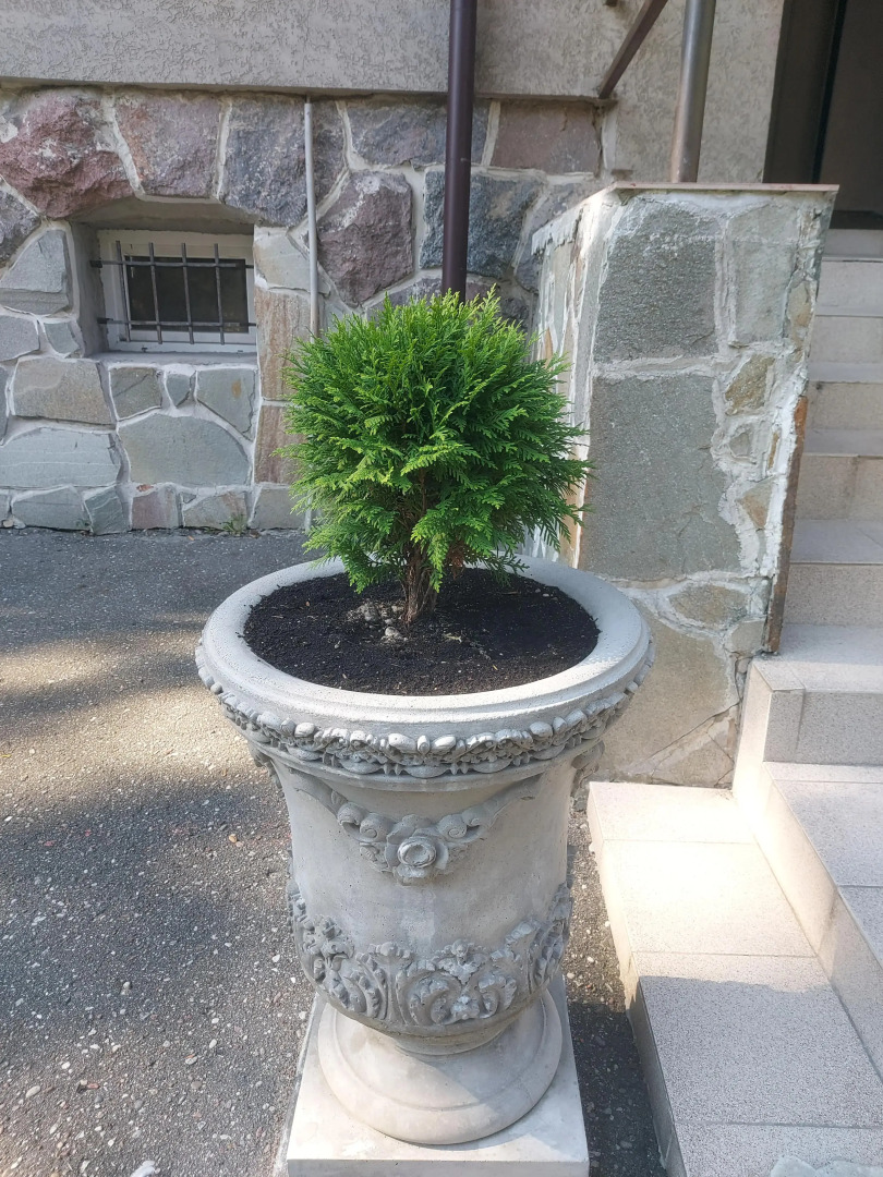 Квартира Белка