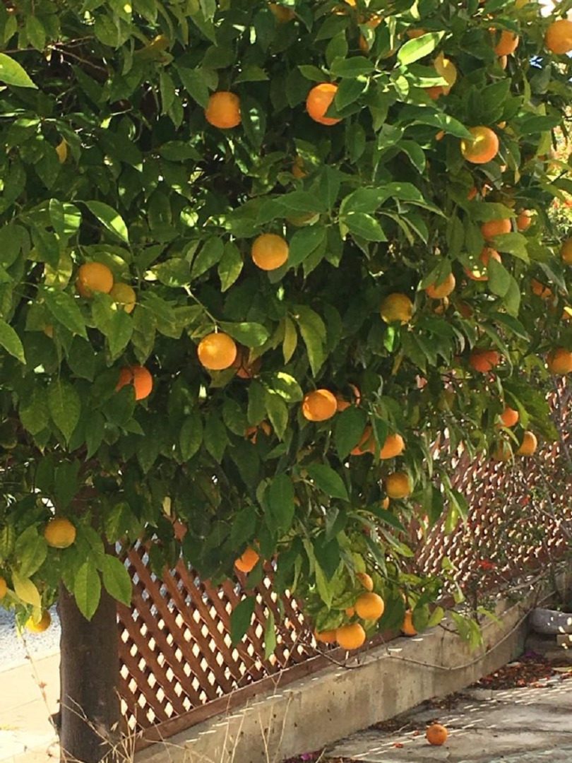 Апартаменты в Като Пафос