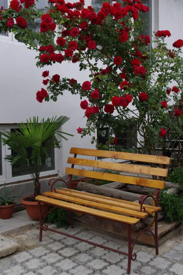 Меблированные комнаты Дом в Розах