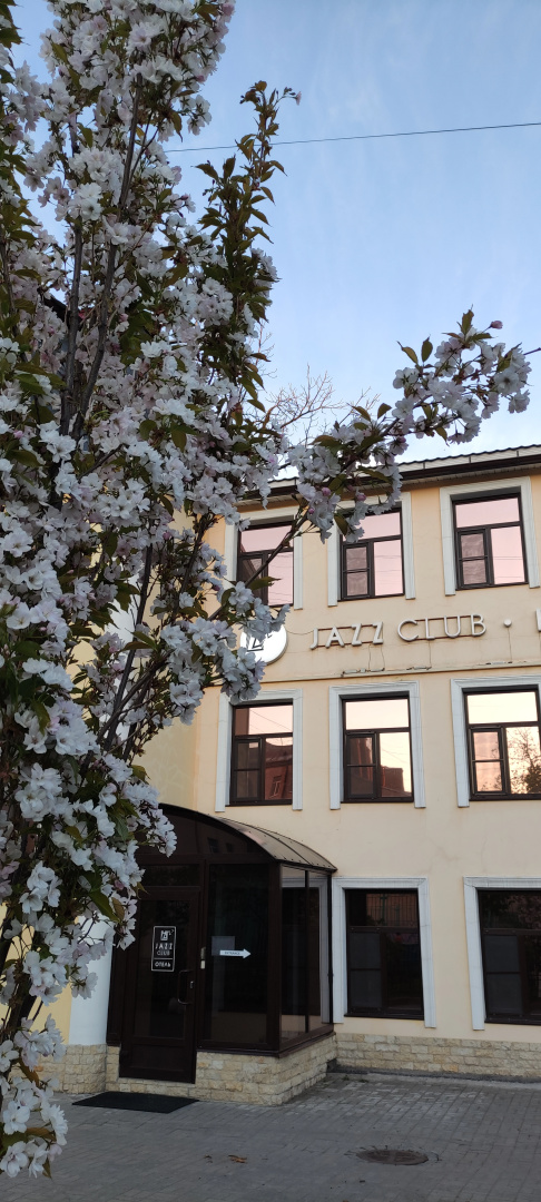 Отель Jazzclub