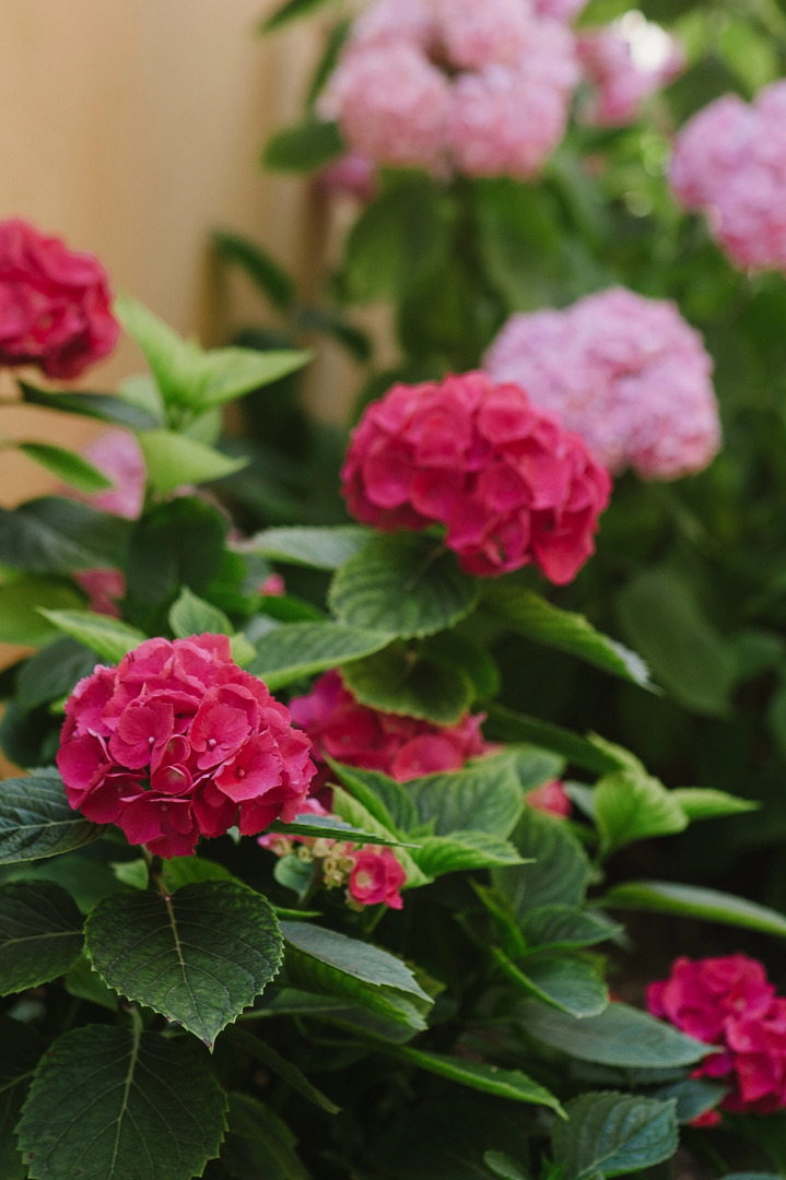 Мини-Отель Альбик