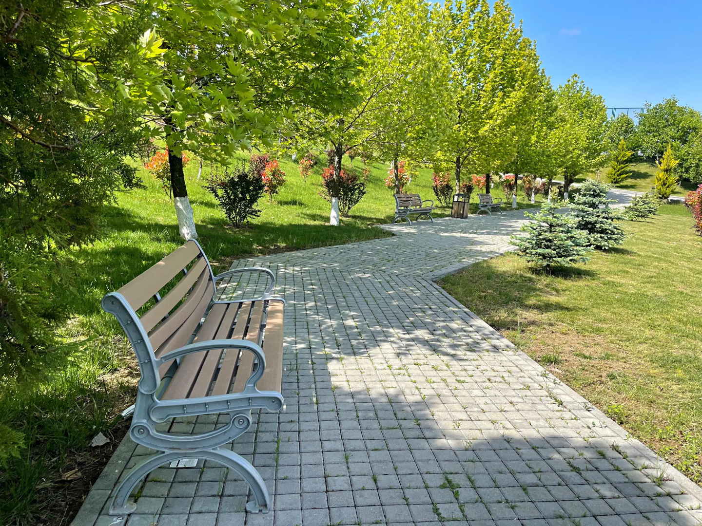 Отель Arena Sport