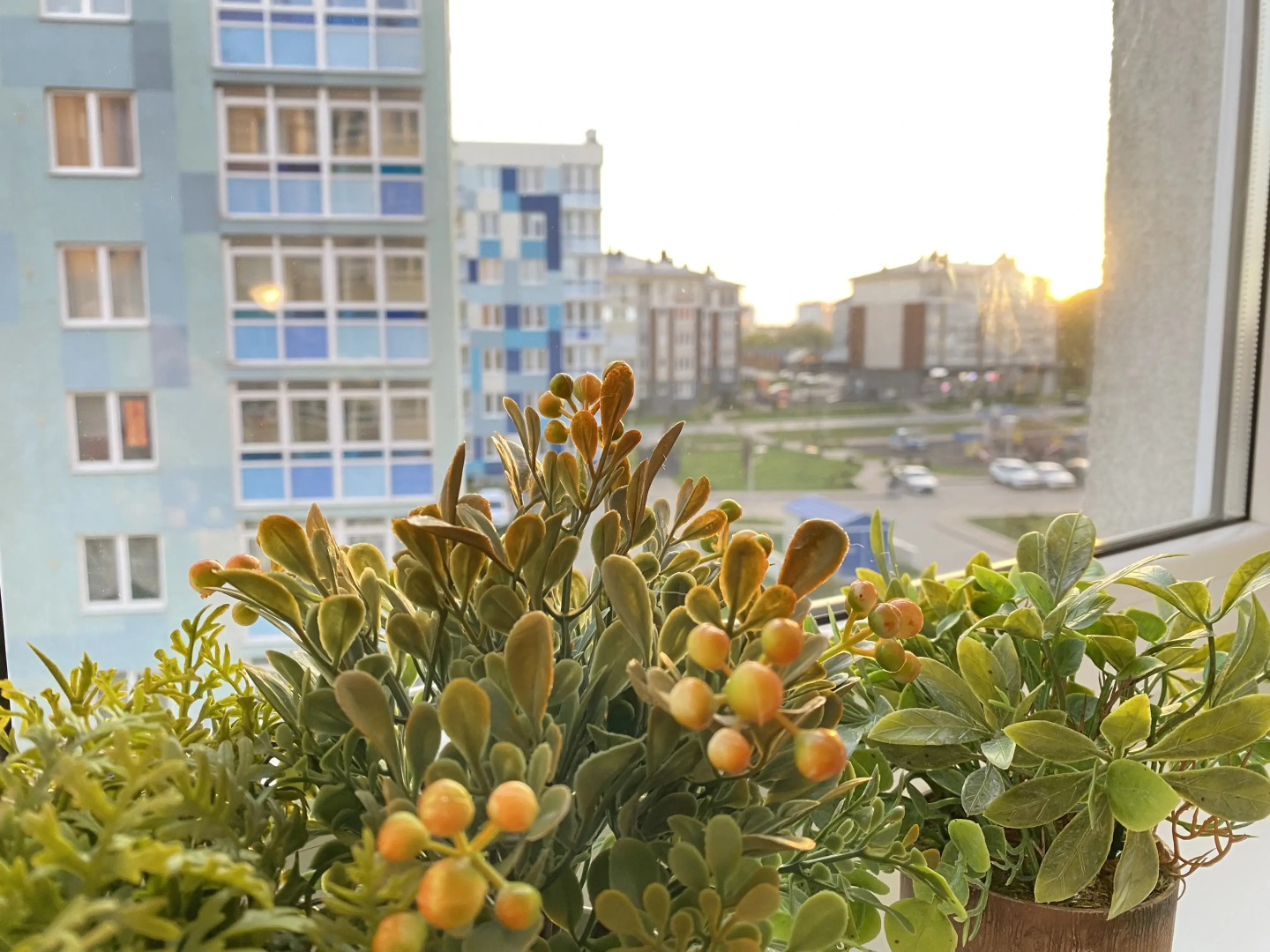 Квартира Морской курорт