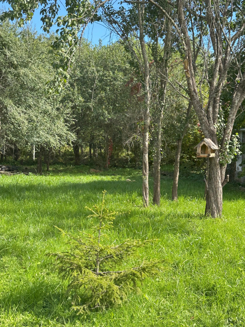 Гостевой дом Лесной