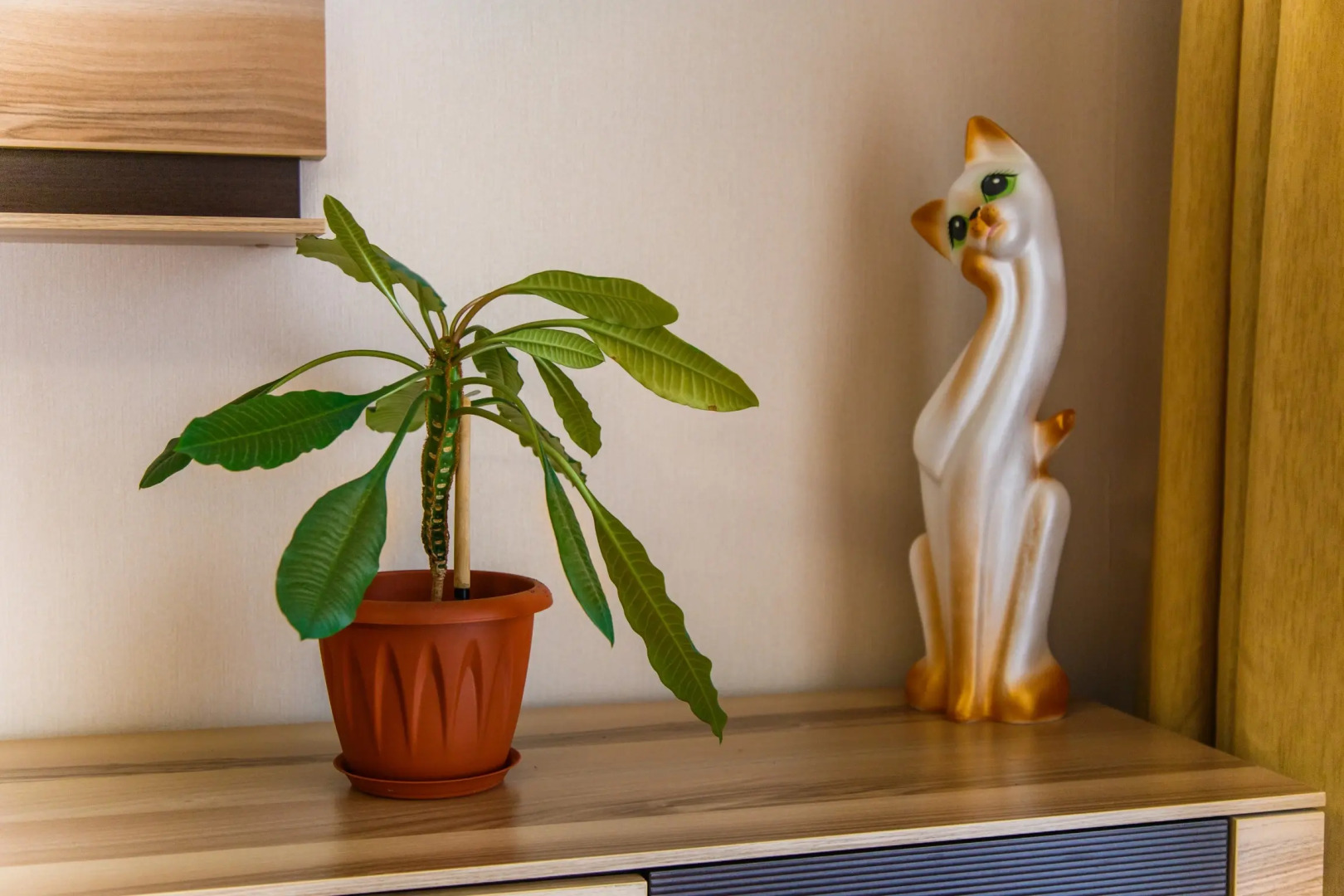 Апартаменты на Николо-Козинской