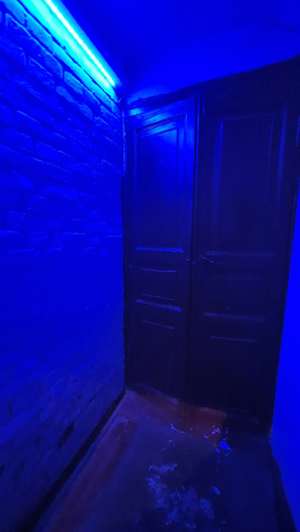 Квартира в старинном особняке Революционер Иконников