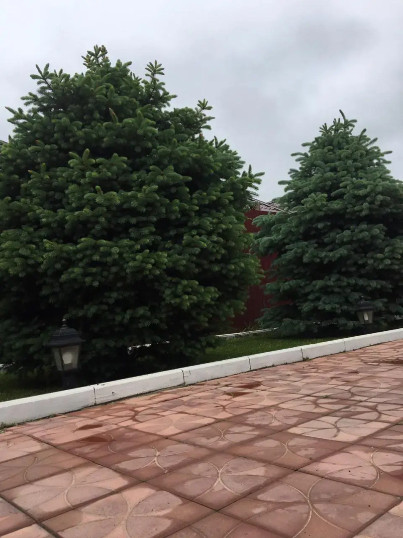 Гостиница Алмаз