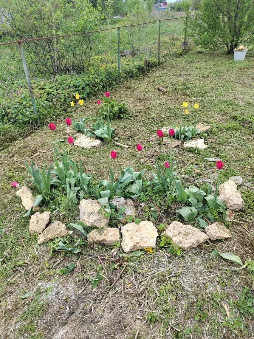 Частный Дом на Советской 23