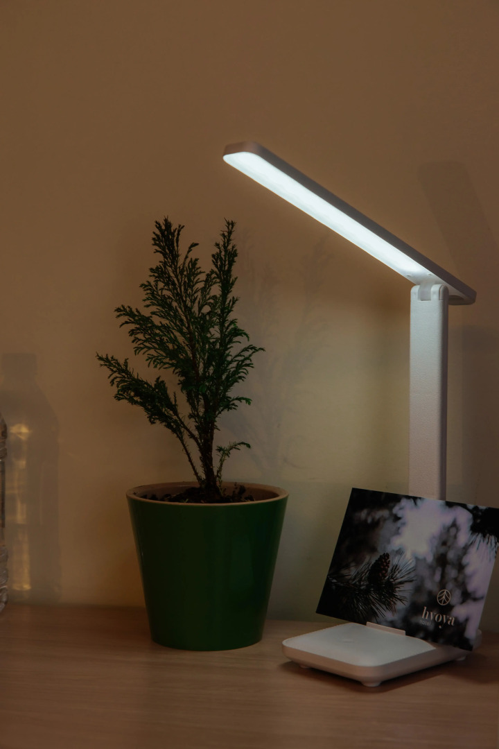 Мини-отель Хвоя