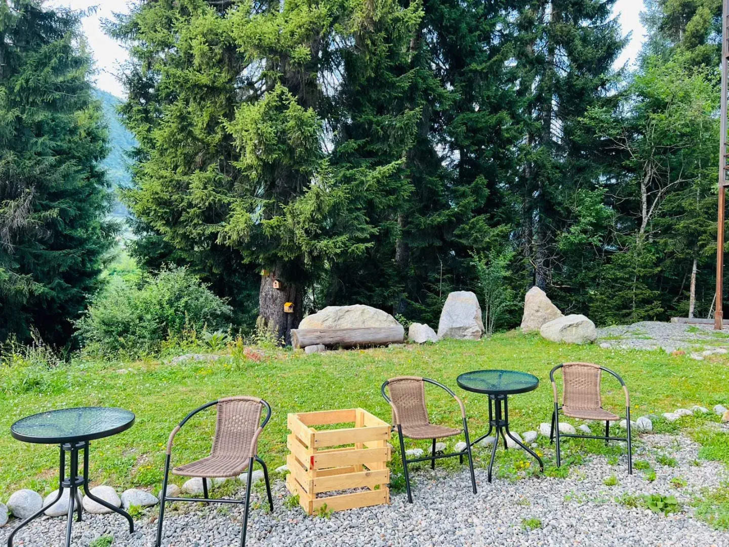 Отель Shgedi Mestia