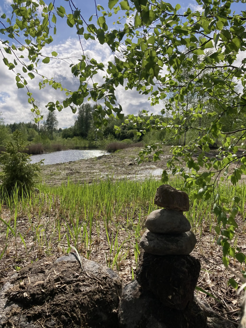 База отдыха Sky Ranch Изборск