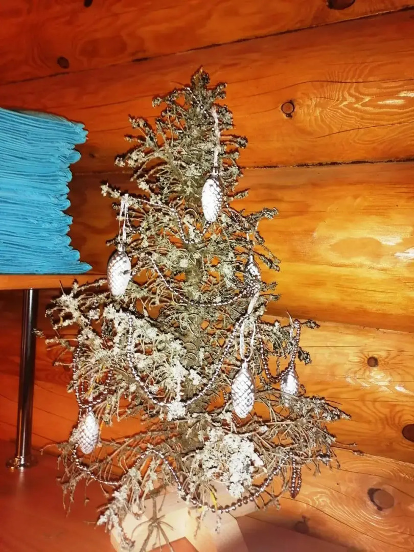 Гостевой дом Дом Капитана в Кириллове