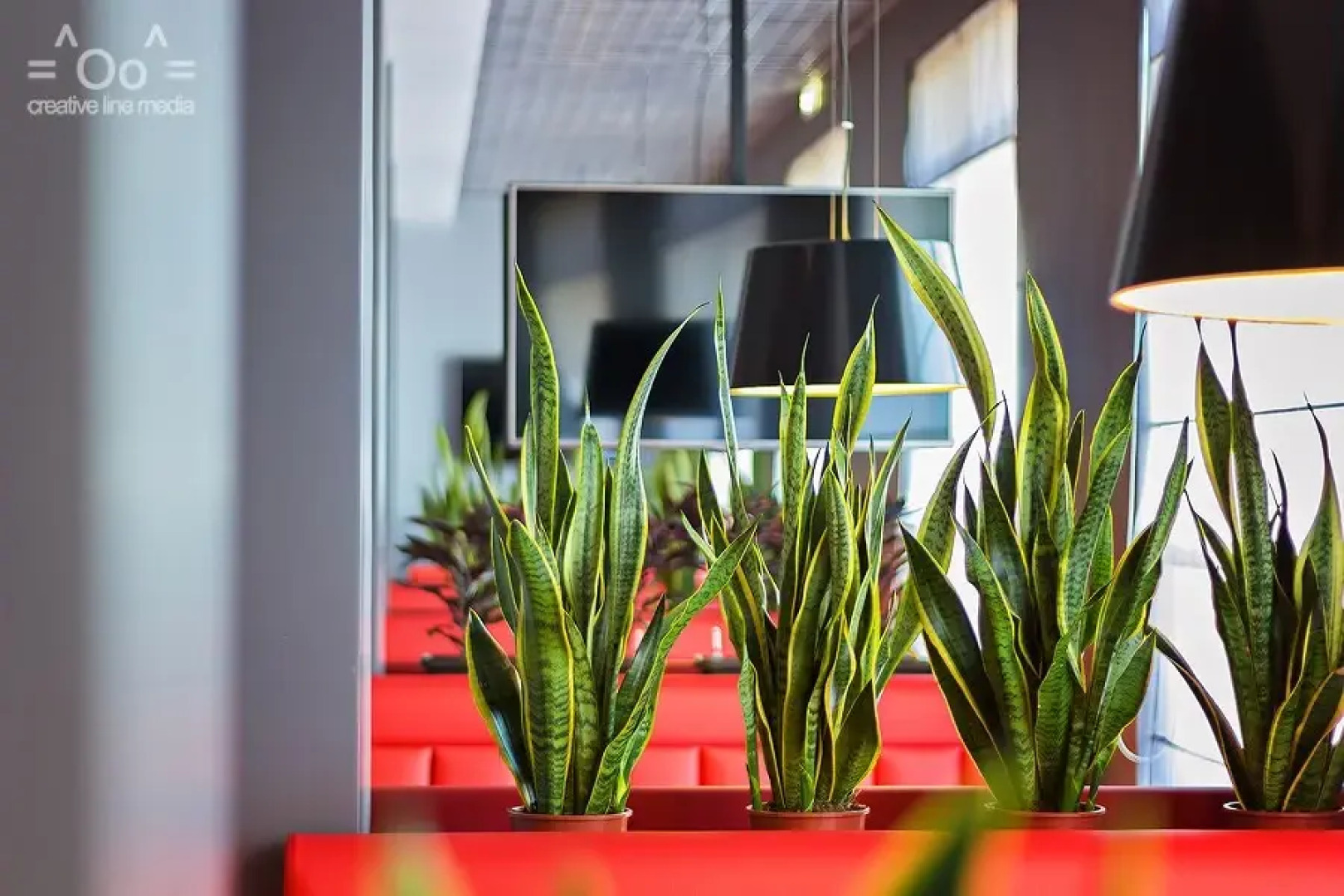 Отель ЭРА СПА