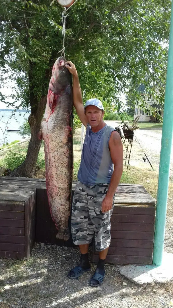 База Отдыха Найт Флайт