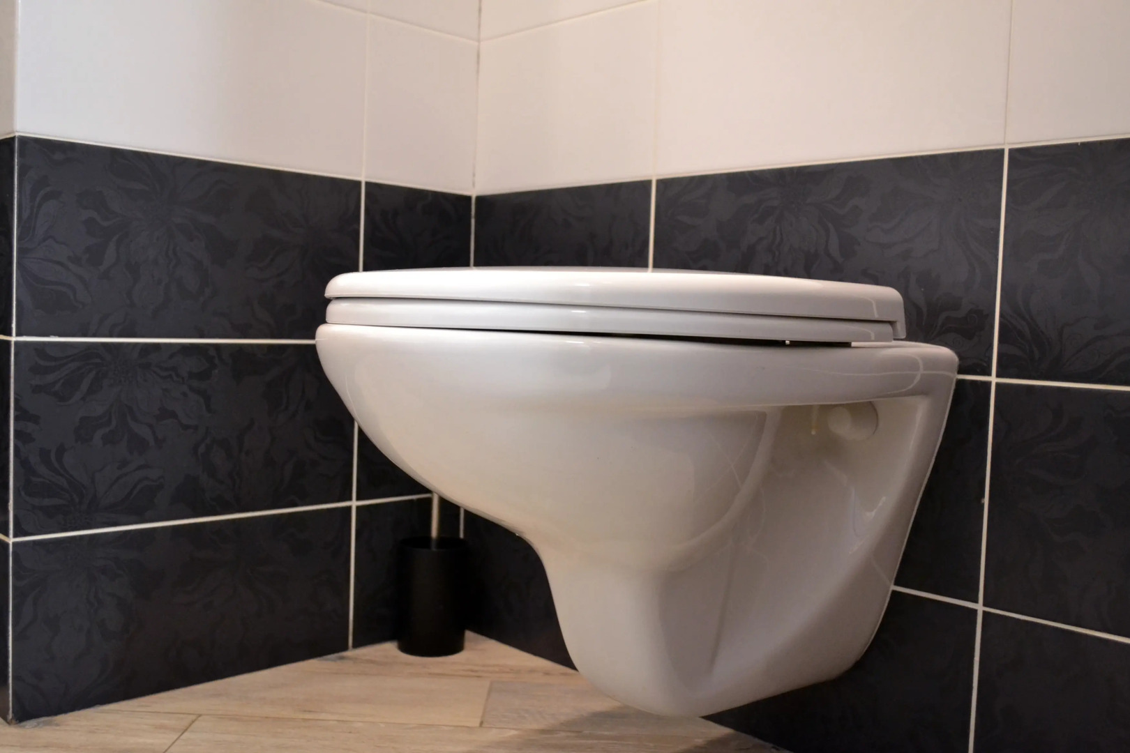 Апартаменты «Атмосфера» | Сафари— Дикий Уют В Сердце Города