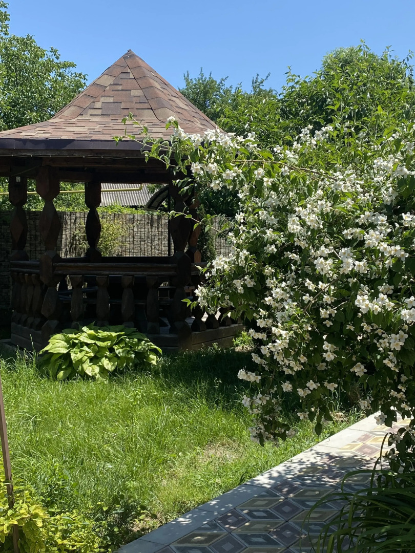 Гостевой дом Солнечный Хаджох