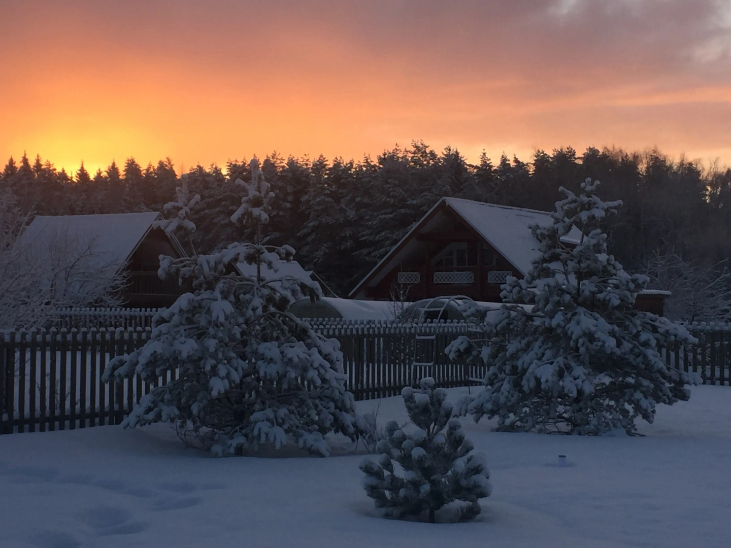 Гостевой дом Дом в Боровиках
